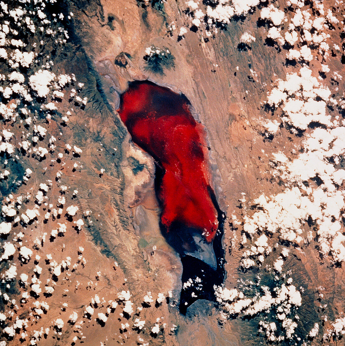 Lake Natron seen from space,STS-55