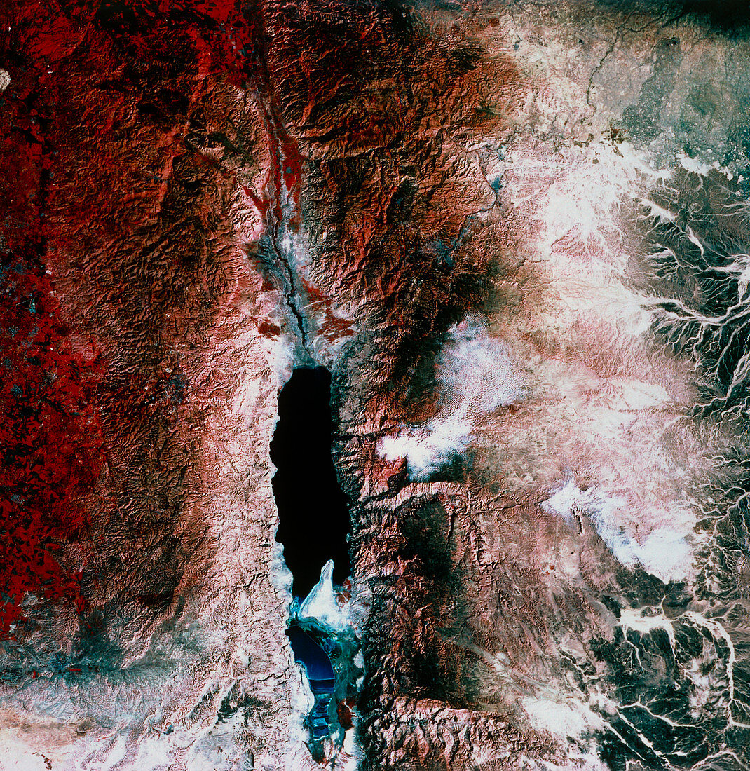 Dead Sea,satellite image