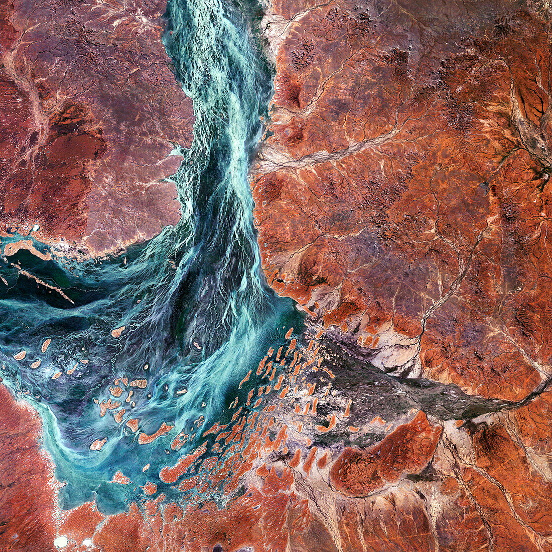 Salt lake in the Australian desert