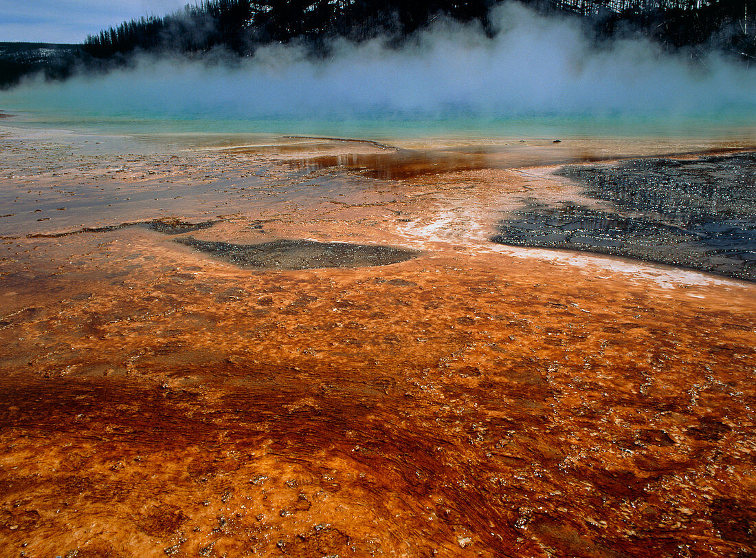 Mineral deposits at edge of thermal pool