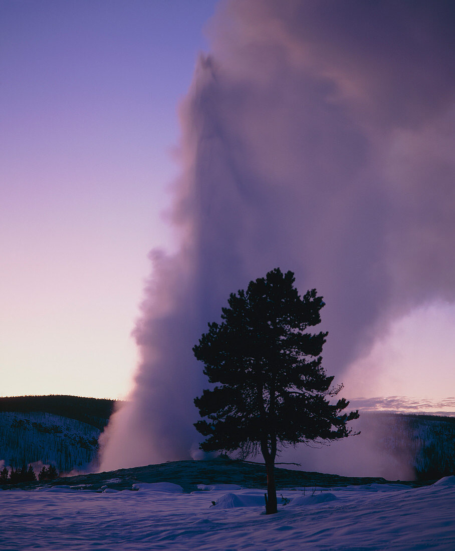 Old Faithful,view of geyser erupting in winter
