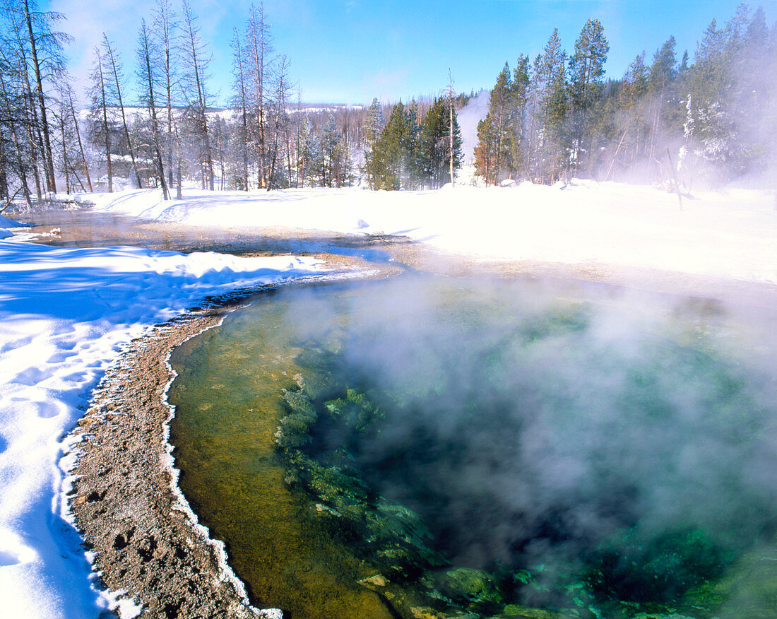Minerals and algae in hot spring in winter