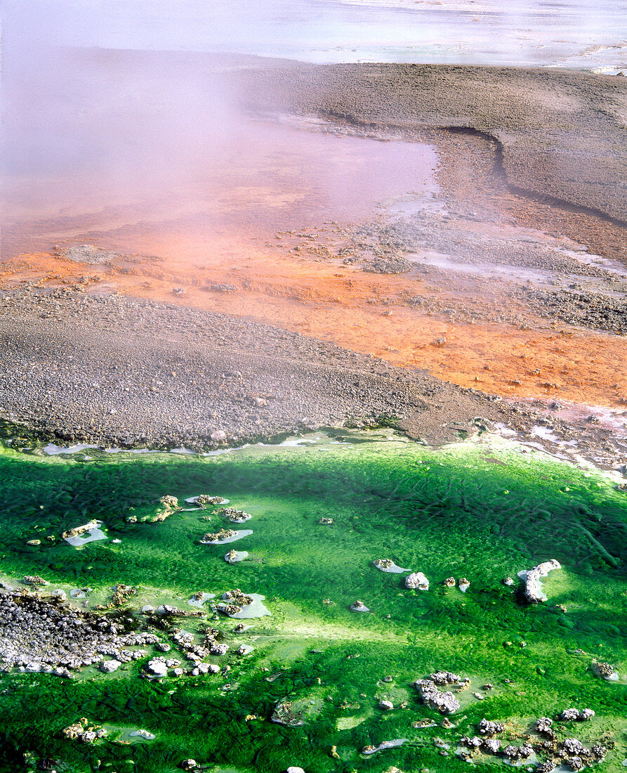 Minerals and green algae in hot spring channels