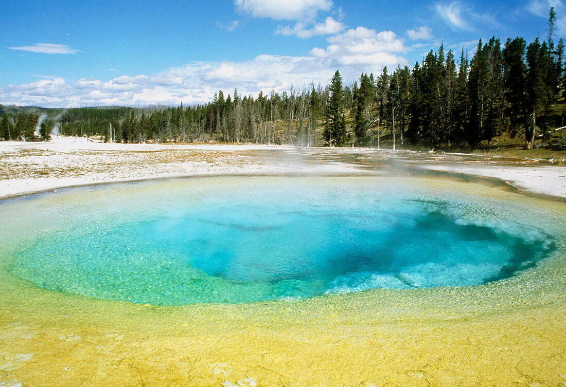 Geothermal pool in Yellowstone National Park,USA