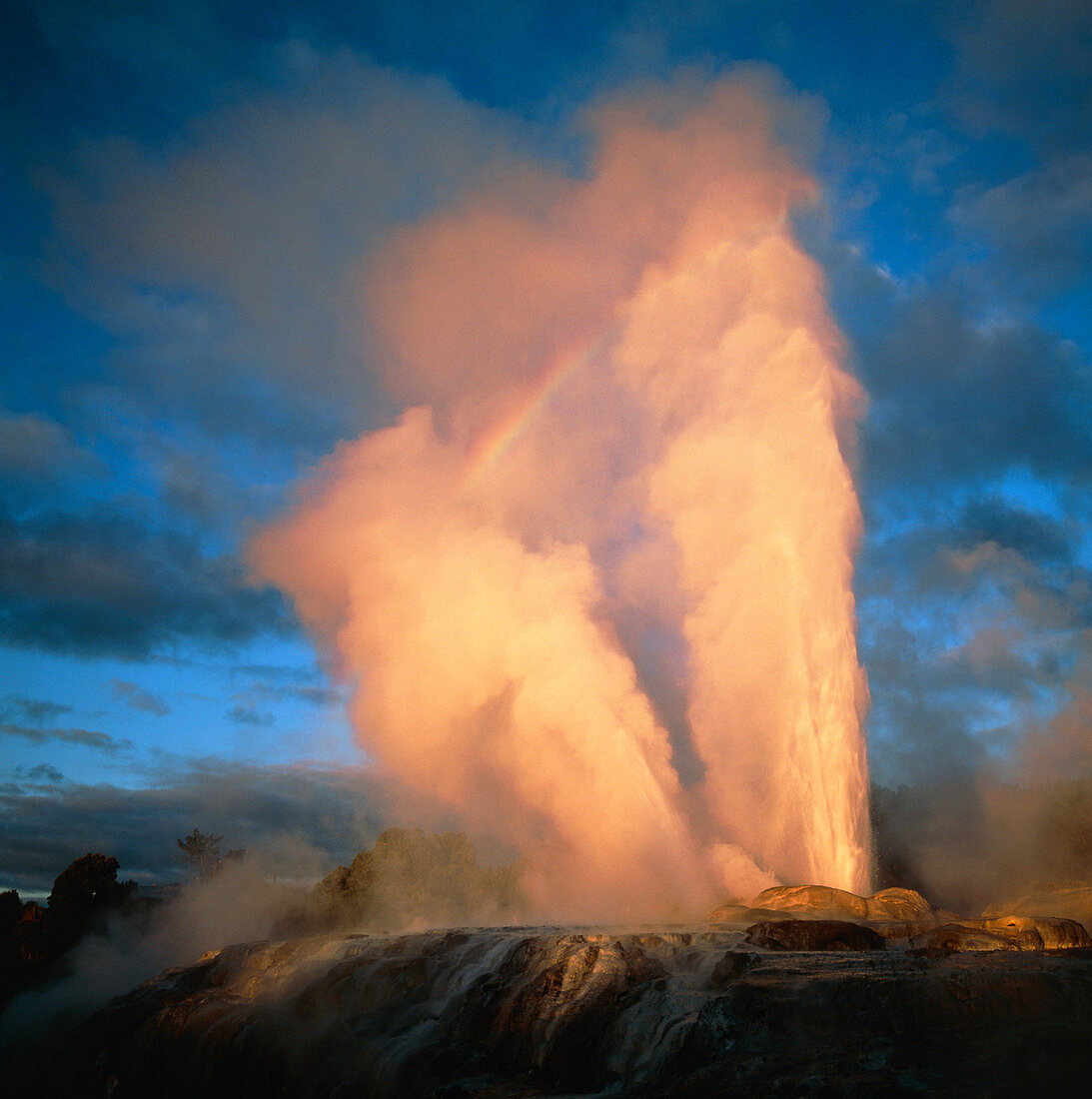 Pohutu and Prince of Wales Feathers geysers