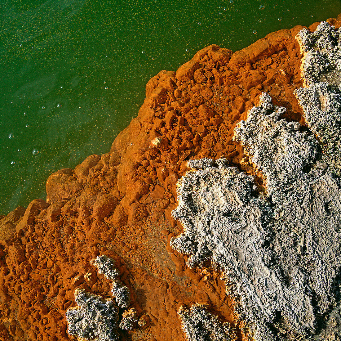 Champagne Pool