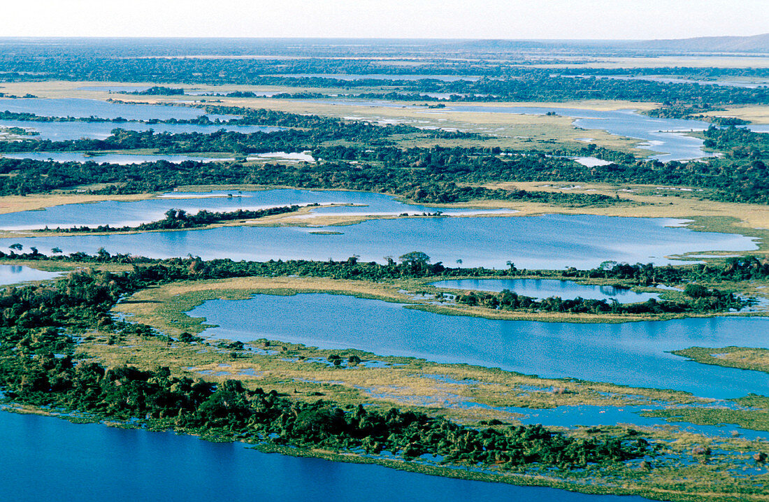 Pantanal wetland,Brazil