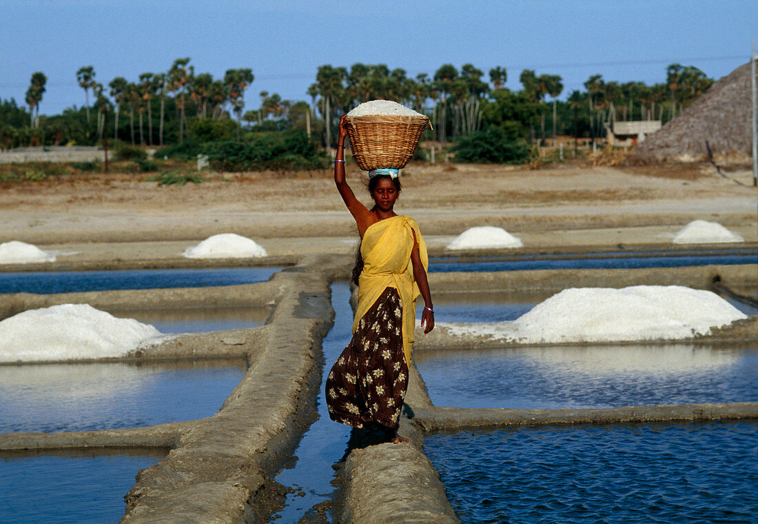 Woman carrying basket of salt from salt pans