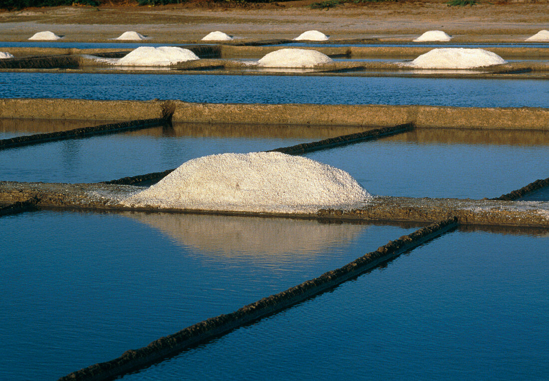 Piles of salt beside salt pans