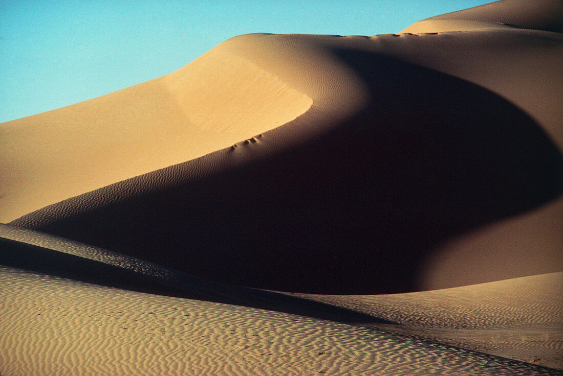 Sand dunes at Kerzaz,Algeria