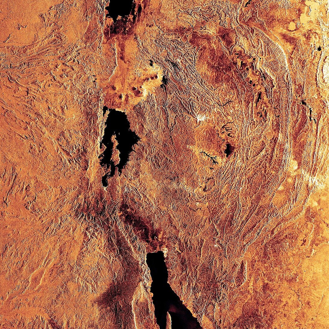 The African Great Lakes,satellite image