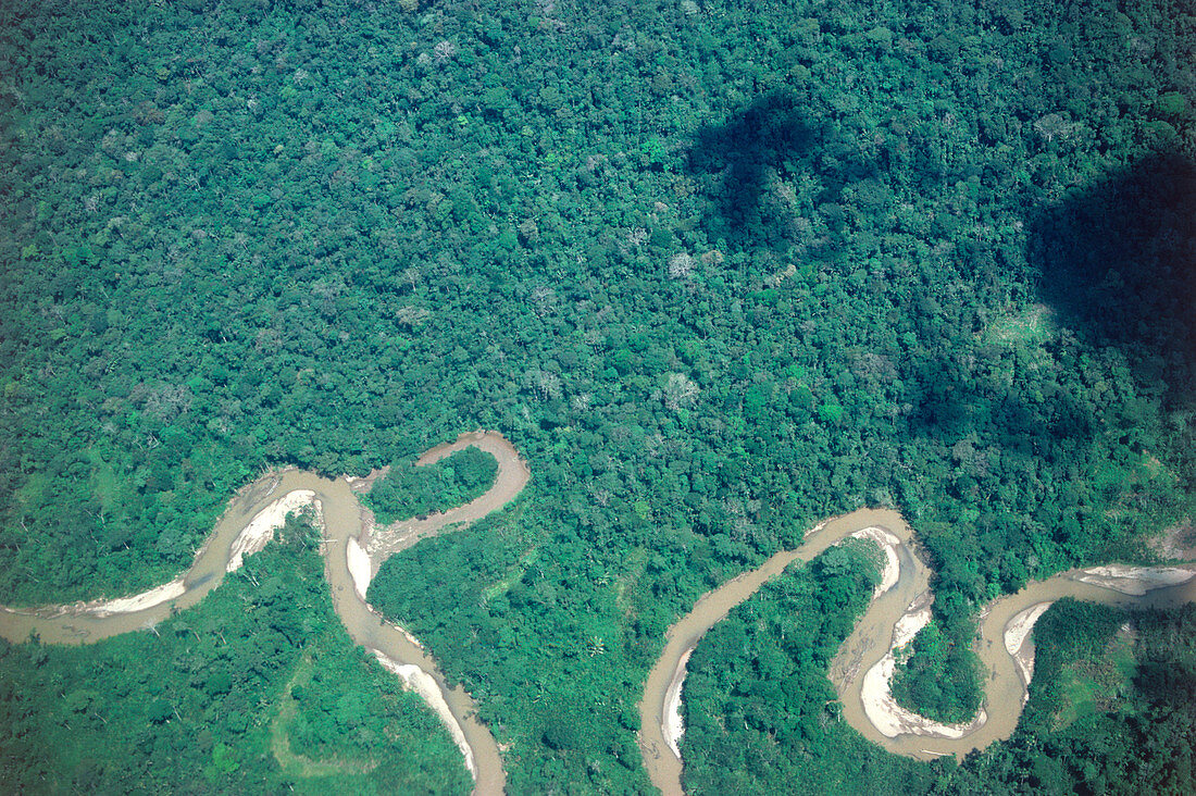 Tropical rainforest with river,Ecuador
