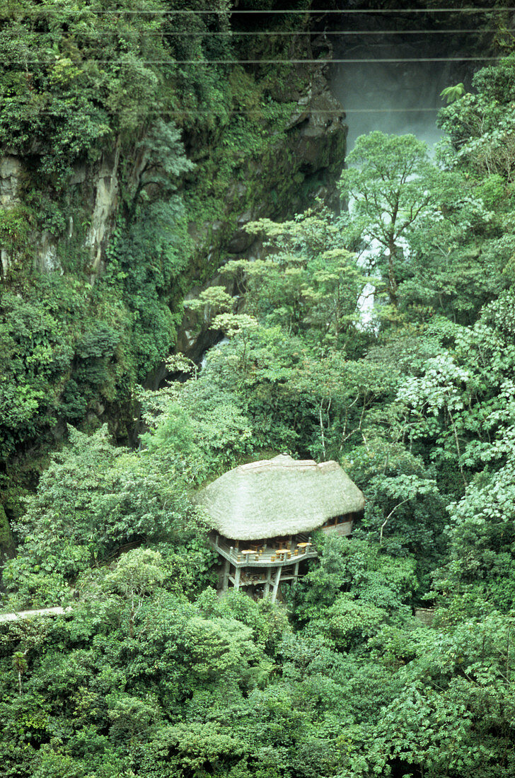 Tourist cottage in the Amazon rainforest