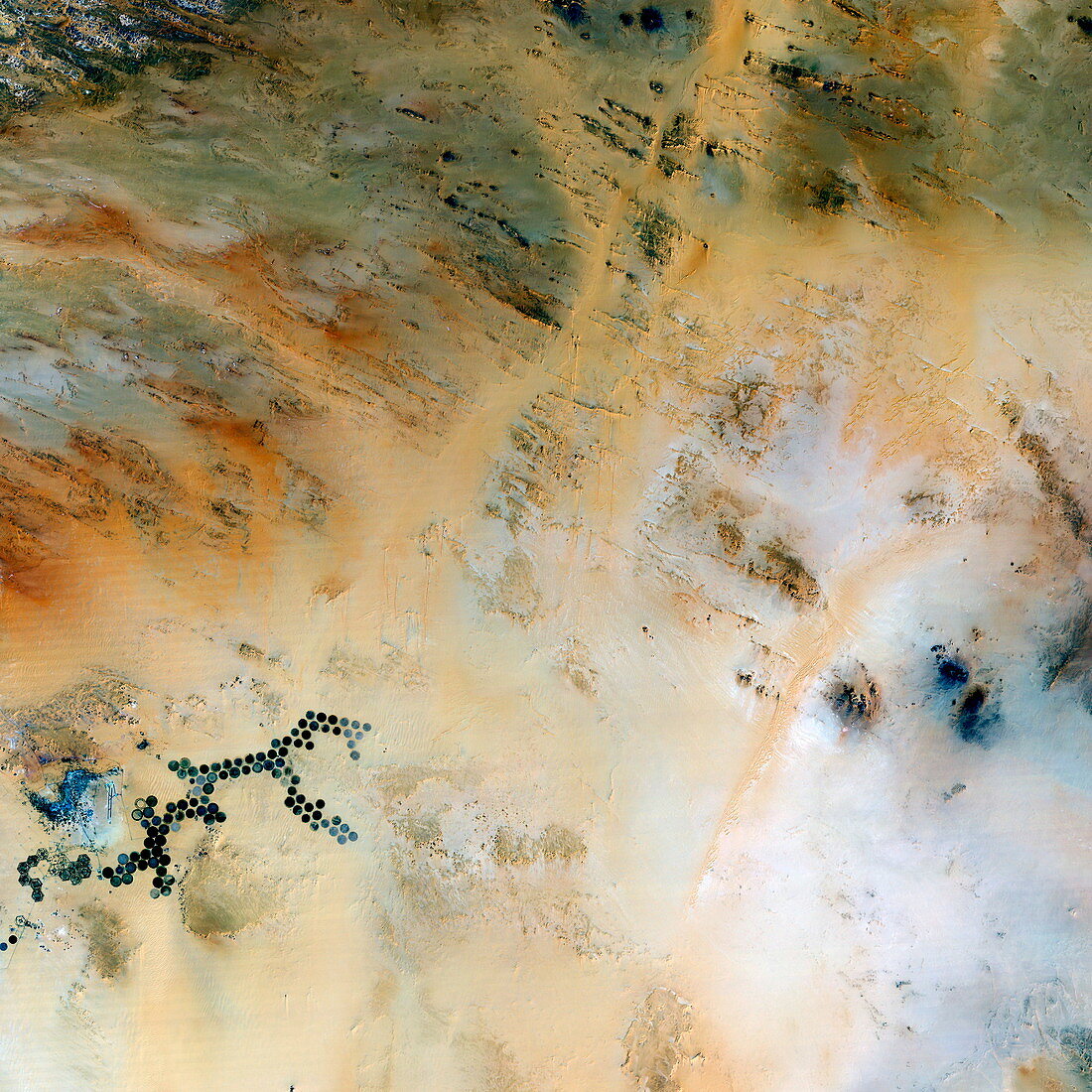 Kufra Oasis in Libya