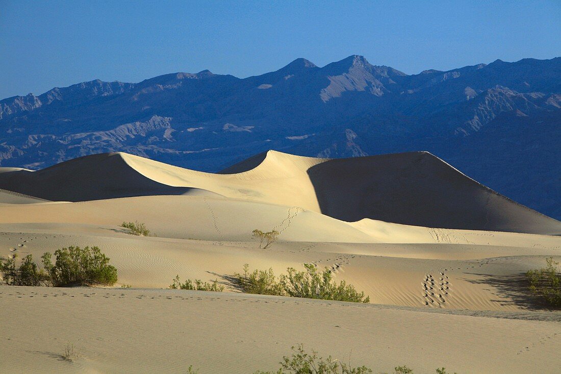 Sand dunes,Death Valley,USA