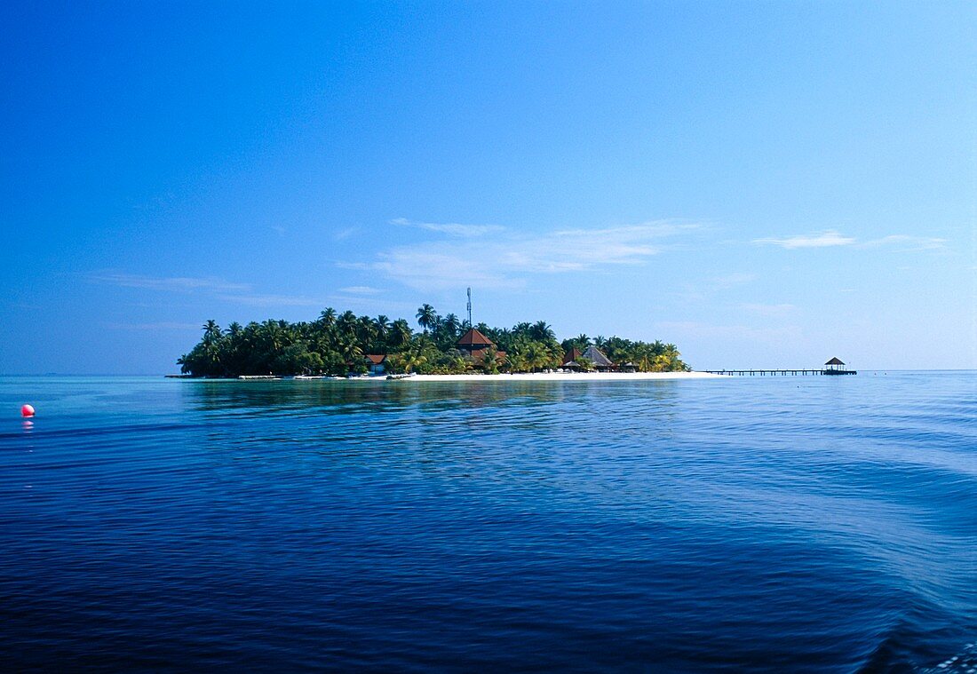 Tropical island,Maldives