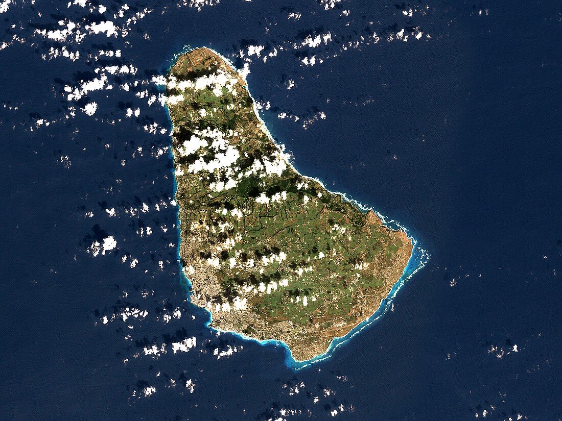 Barbados,satellite image