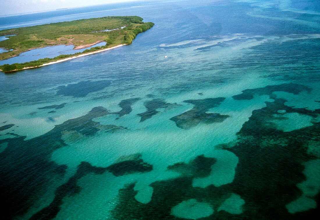 Aerial shot of coral reef,Florida Keys,USA