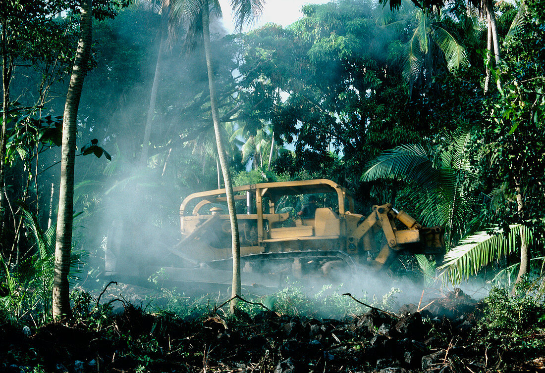 Bulldozing a rainforest,Hawaii