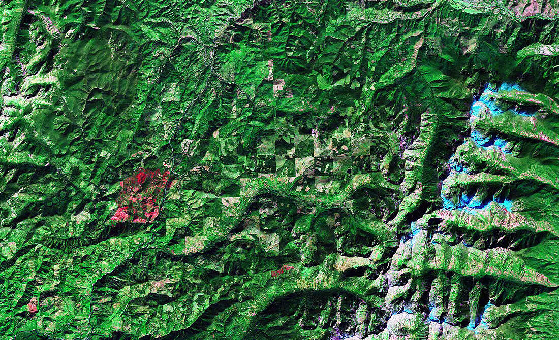 Deforestation,satellite image