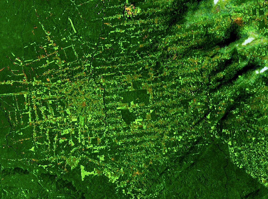 Deforestation in Rondonia,Brazil,2001