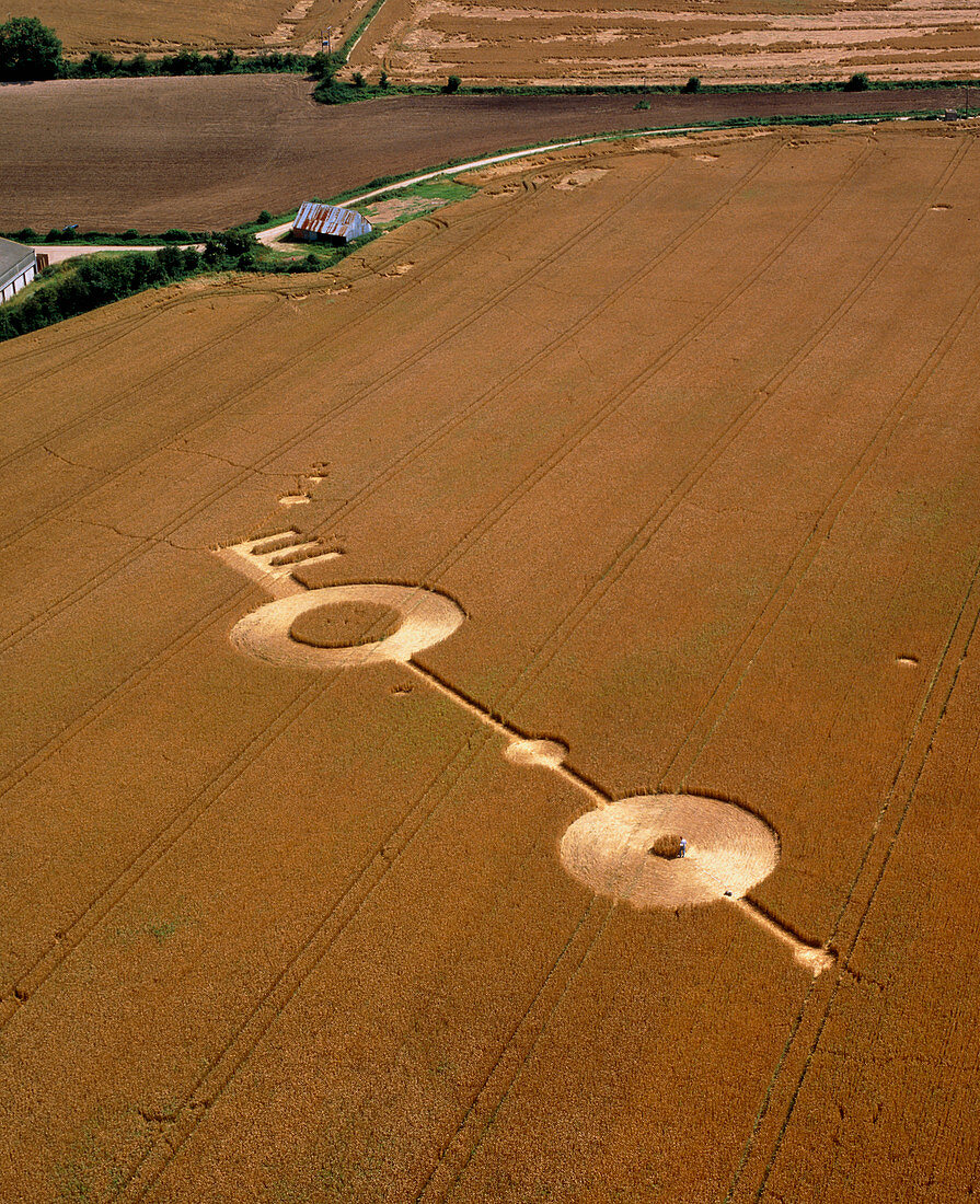 Crop formation,near East Kennett,Wiltshire
