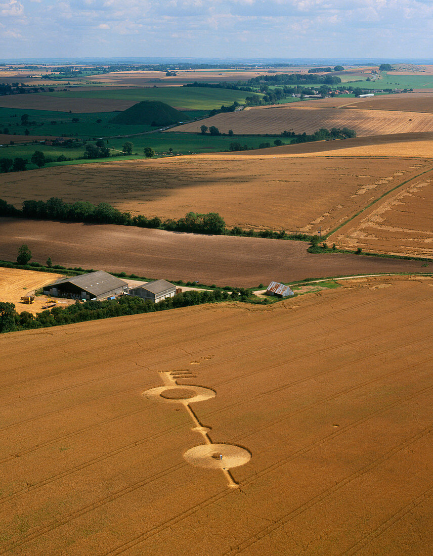 Hoax crop formation,Alton Priors,Wiltshire