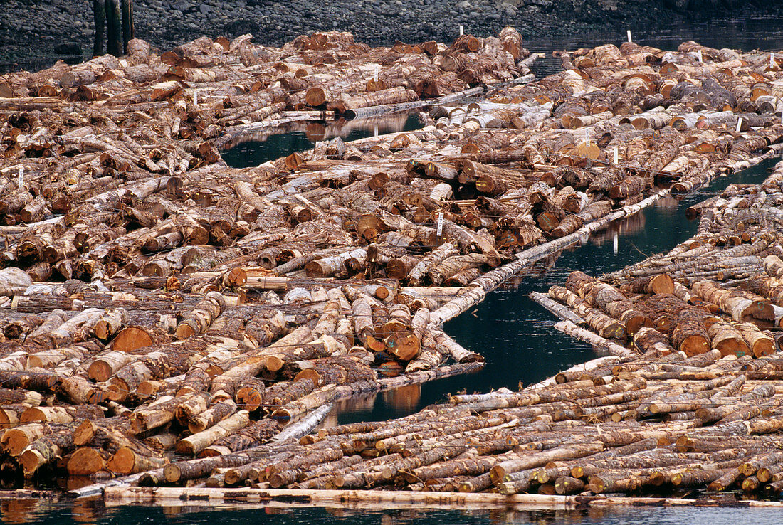 Log booms in Vancouver Island