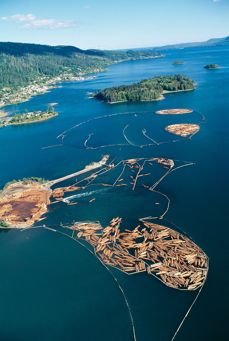 Aerial view of felled timber logs on water