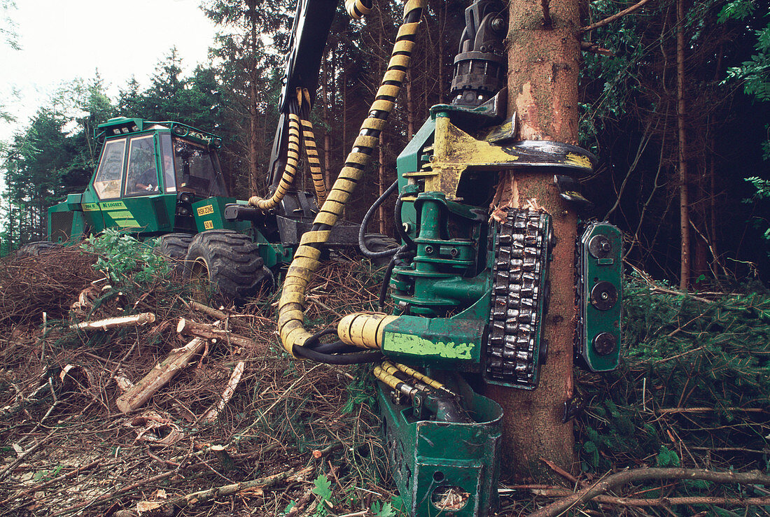 Commercial forestry