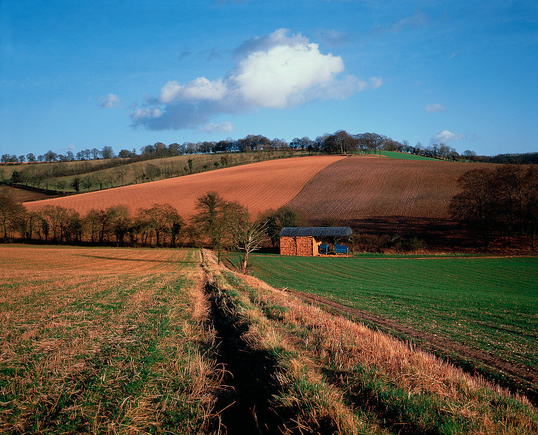 Arable farmland,England