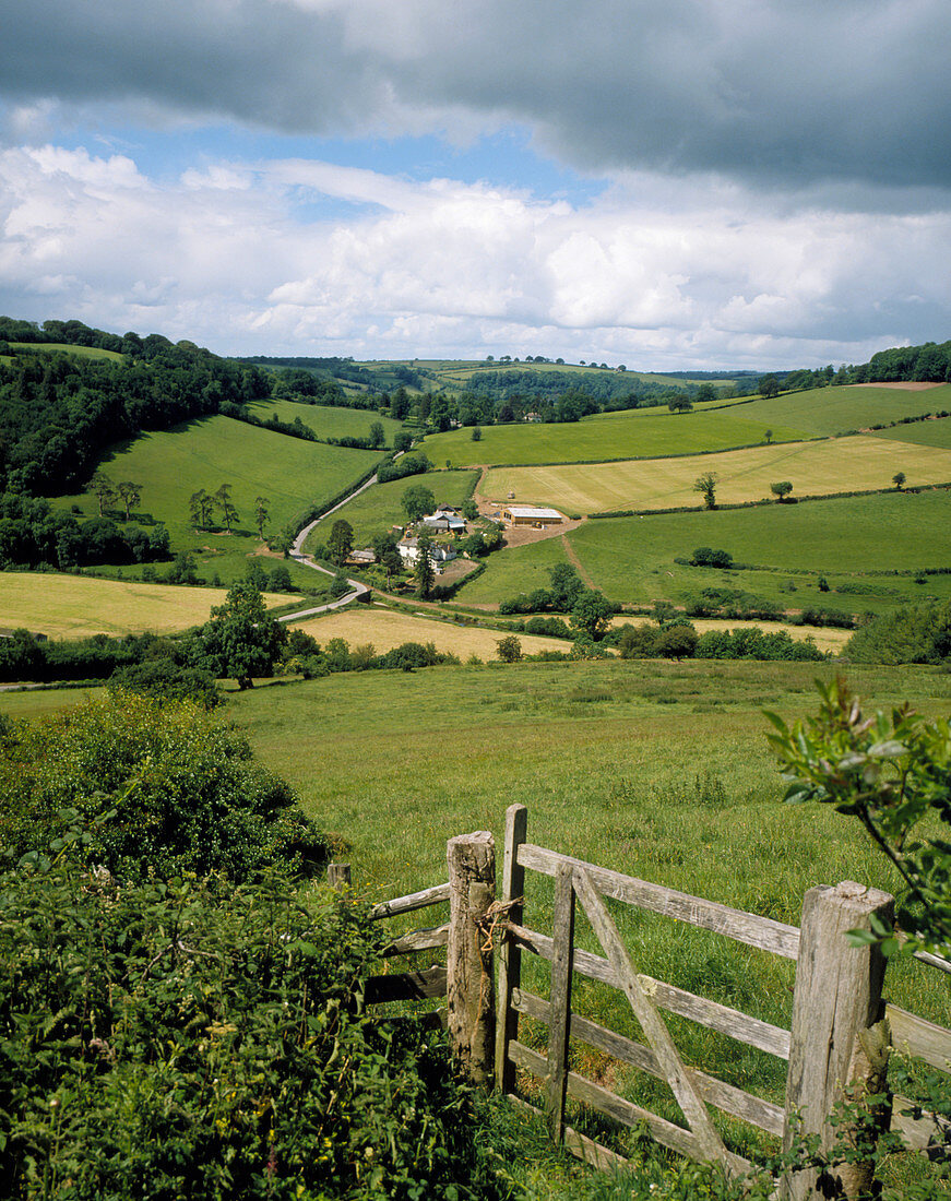 Farm landscape,Somerset,England
