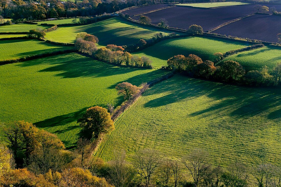 Shadows across fields,Devon,UK