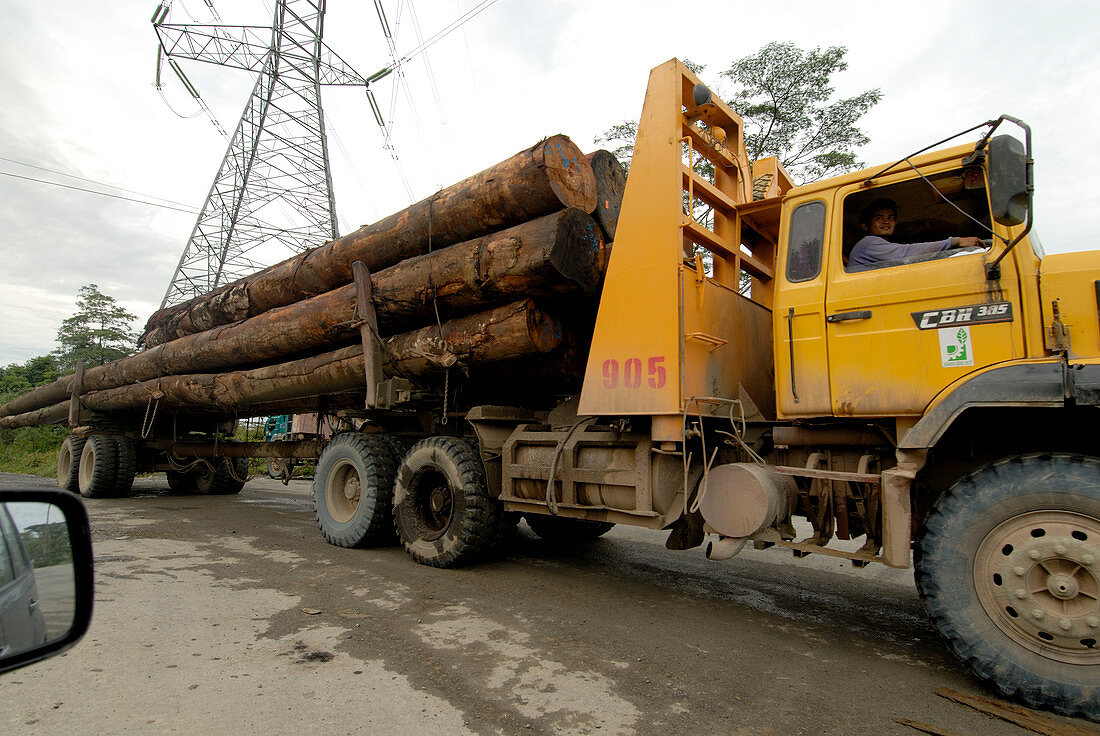 Truck laden with timber,Malaysia