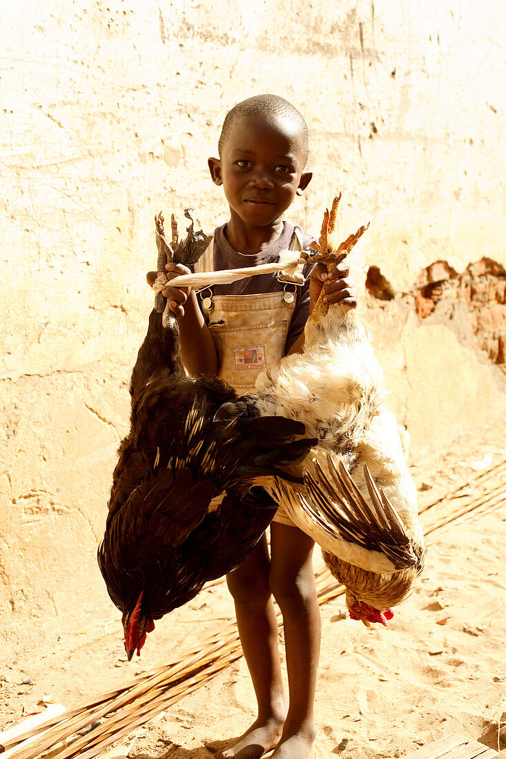 Child with dead chickens