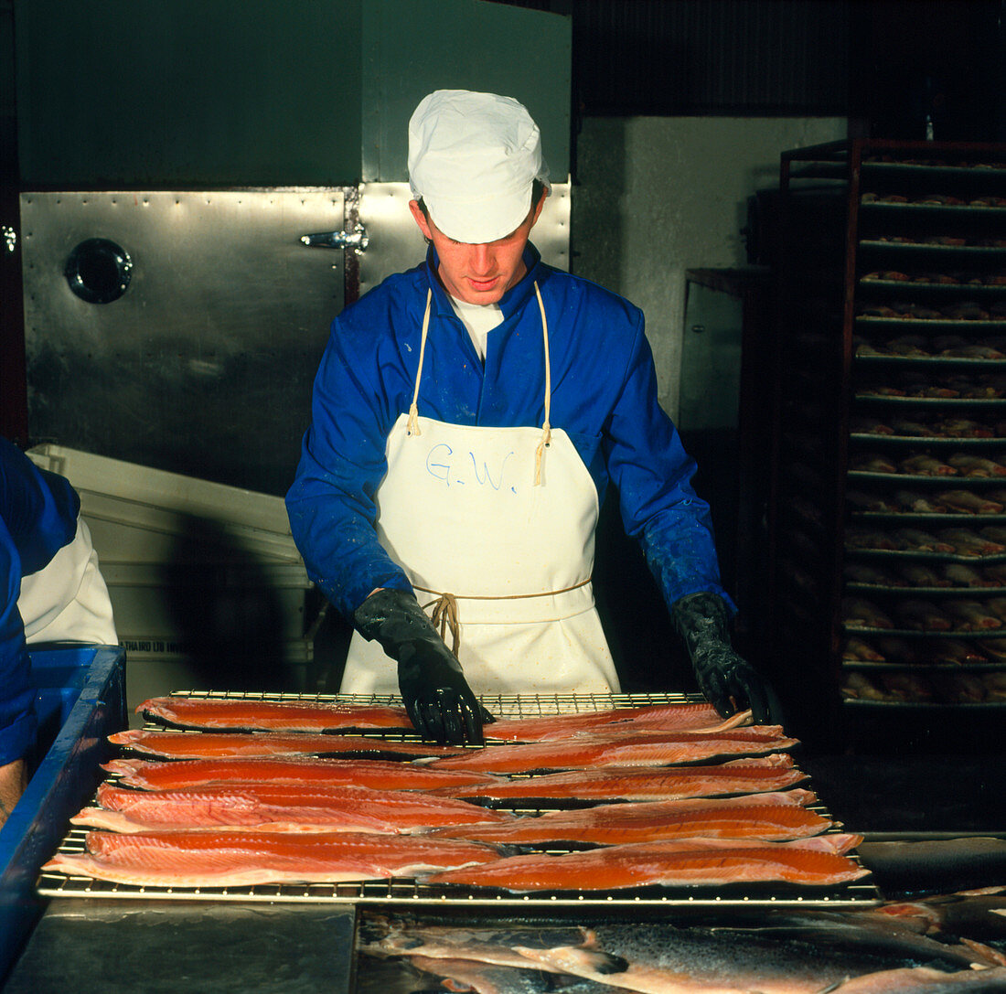 Worker at a salmon smokery,Scotland
