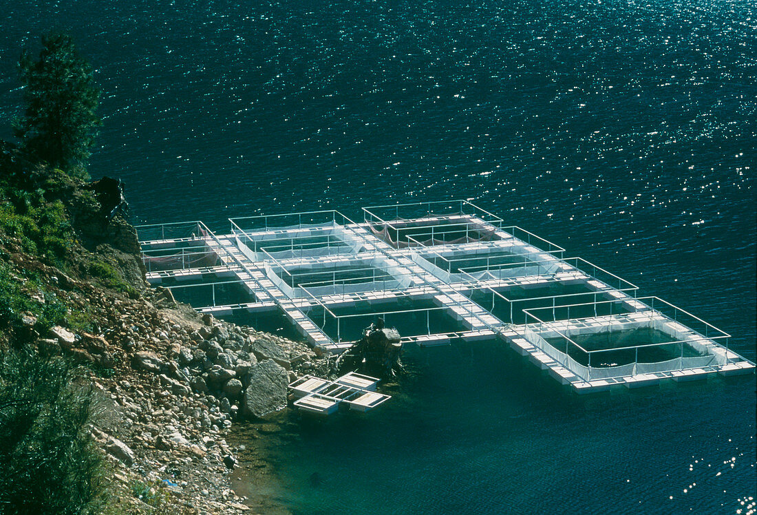 Fish farm at Lake Karacaoren,Turkey