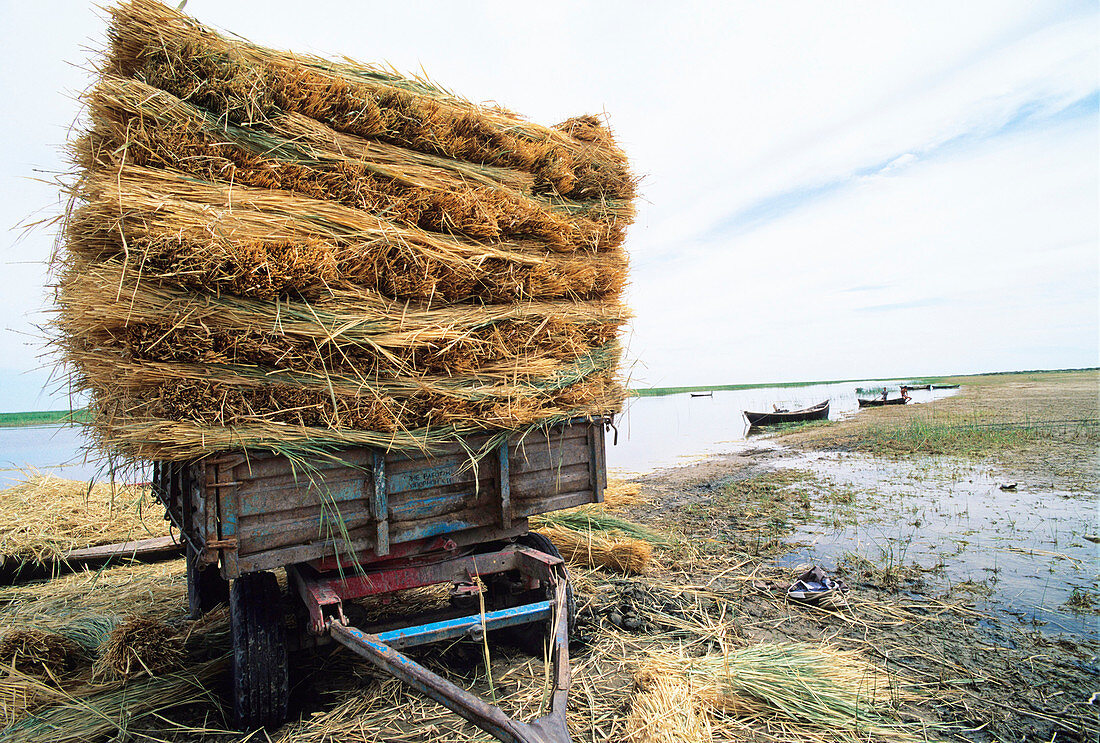 Farming and fishing by the Aral Sea