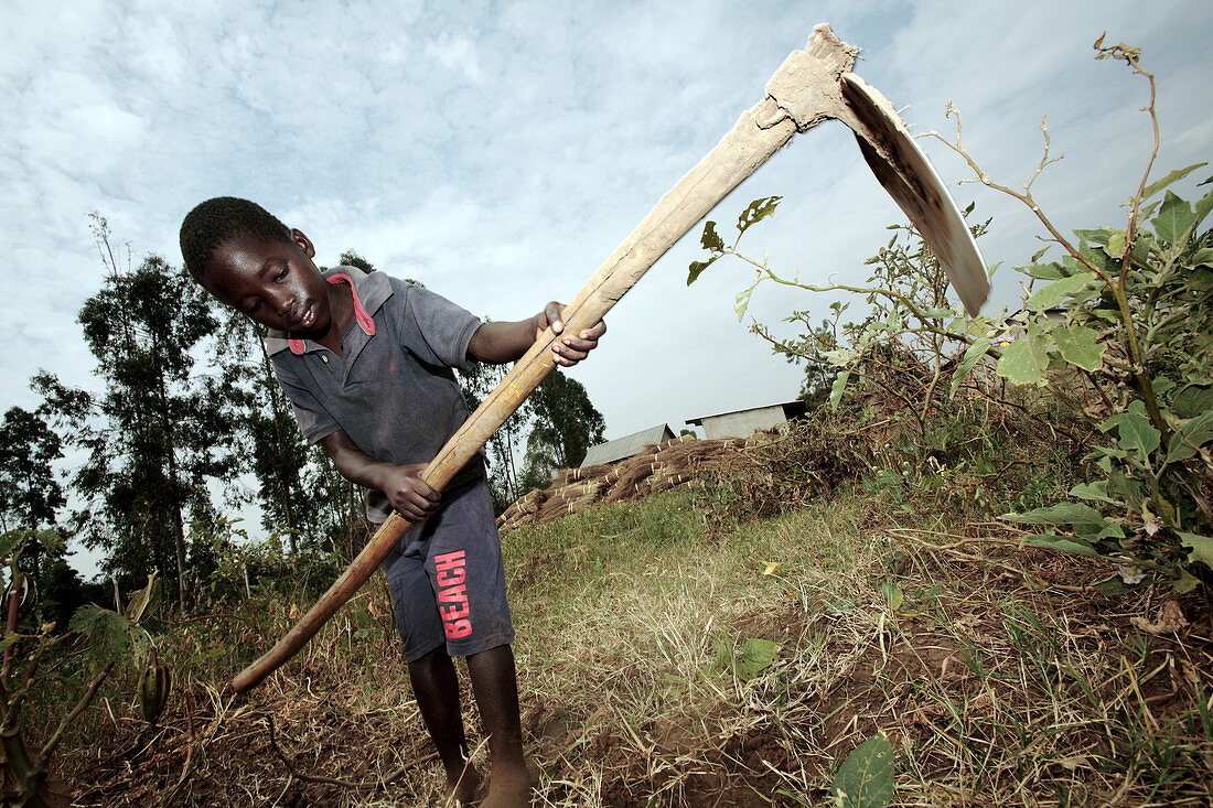 Third world agriculture