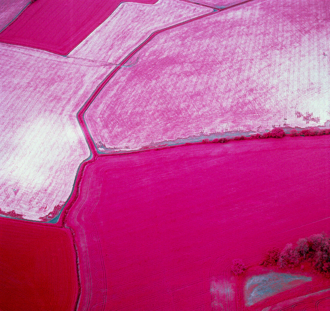 Infrared aerial photo showing crop failure