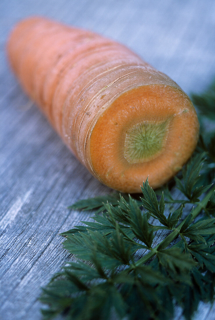 Carrot (Daucus carota 'Nantes')