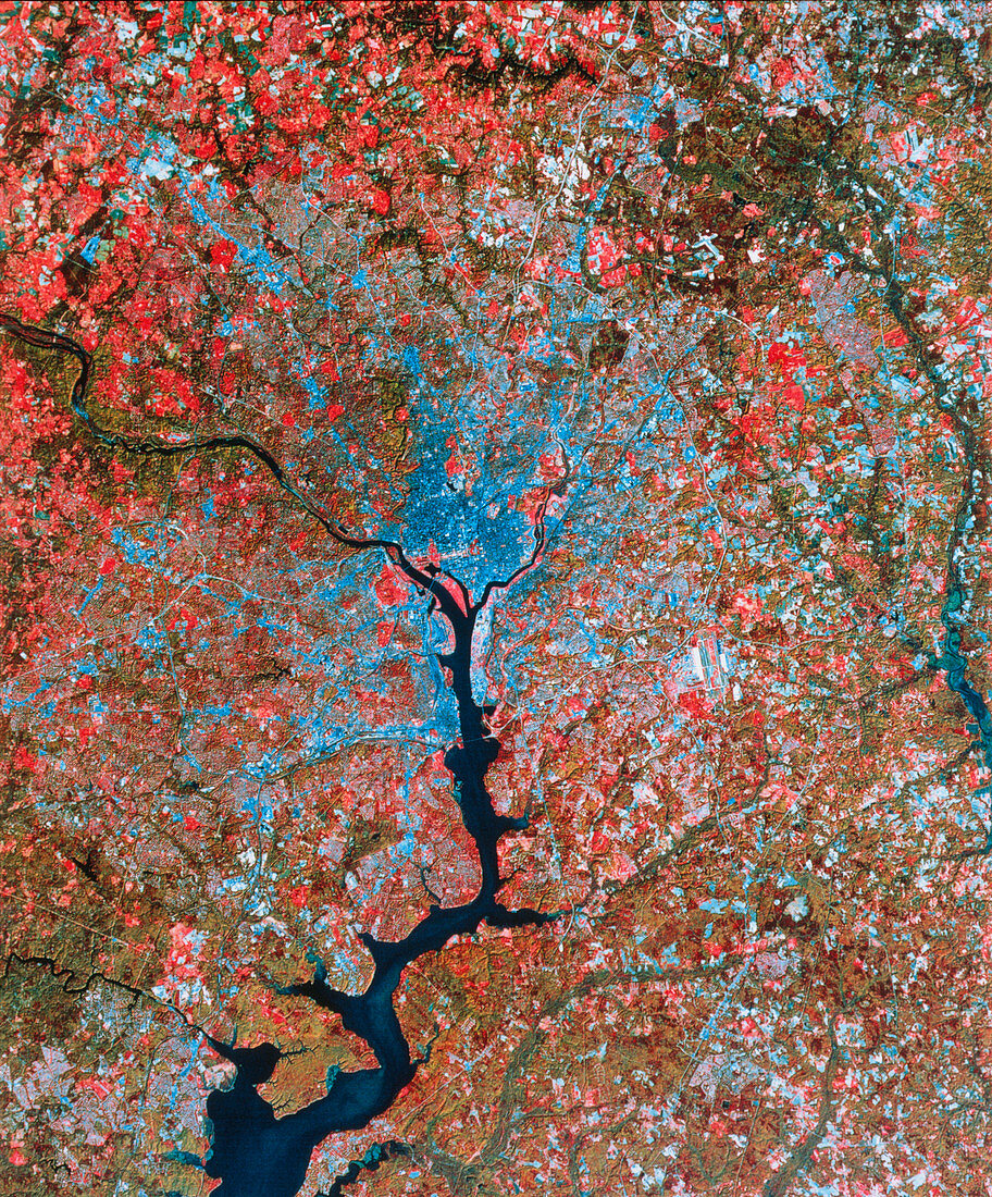 Landsat image of Washington D.C