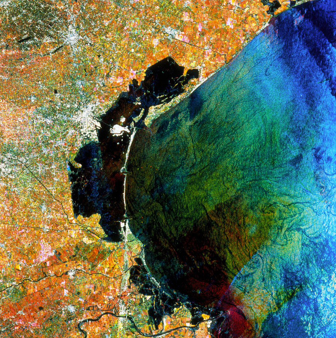 ERS-1 multitemporal image of Venice