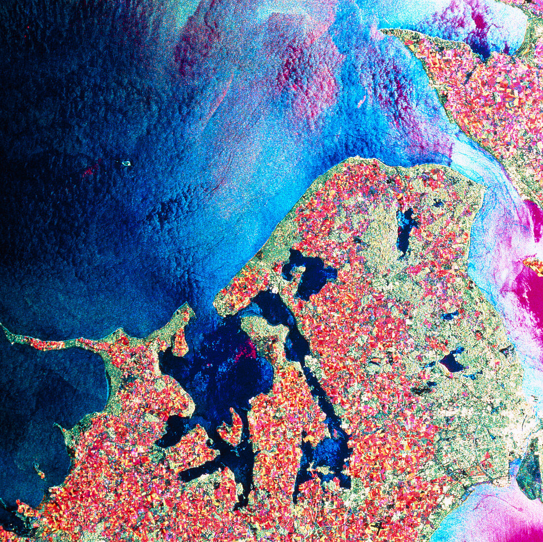 Coloured radar satellite image of Copenhagen