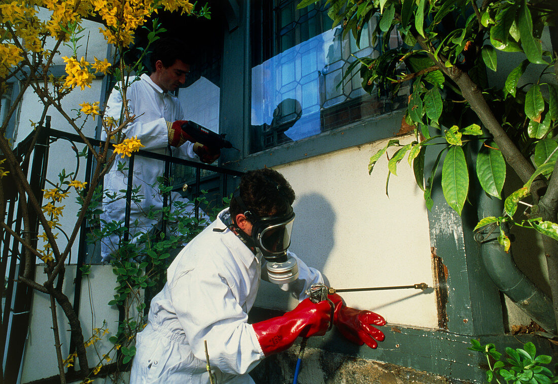 Male technicians treating a house for termites