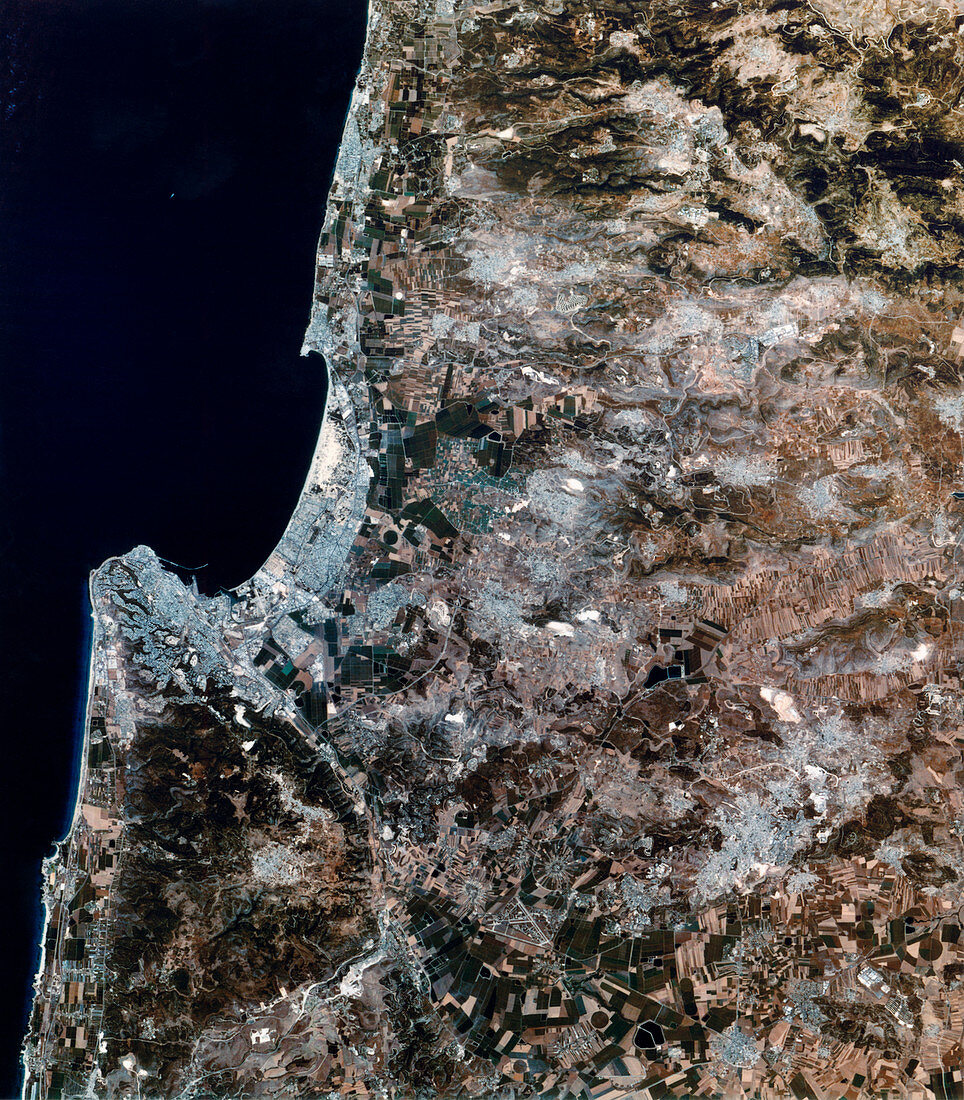 Haifa,Israel