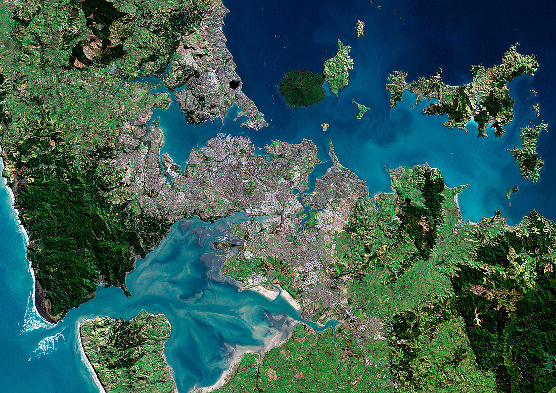 Auckland,New Zealand,satellite image