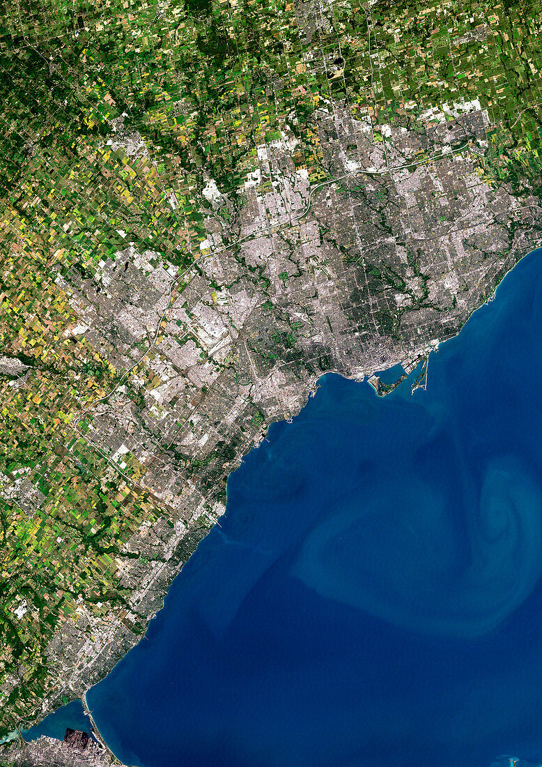 Toronto,satellite image