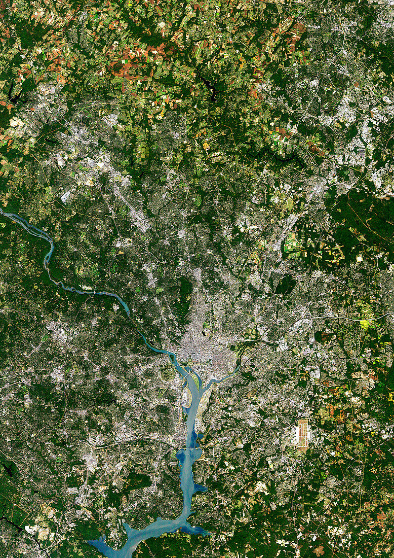 Washington D.C.,satellite image