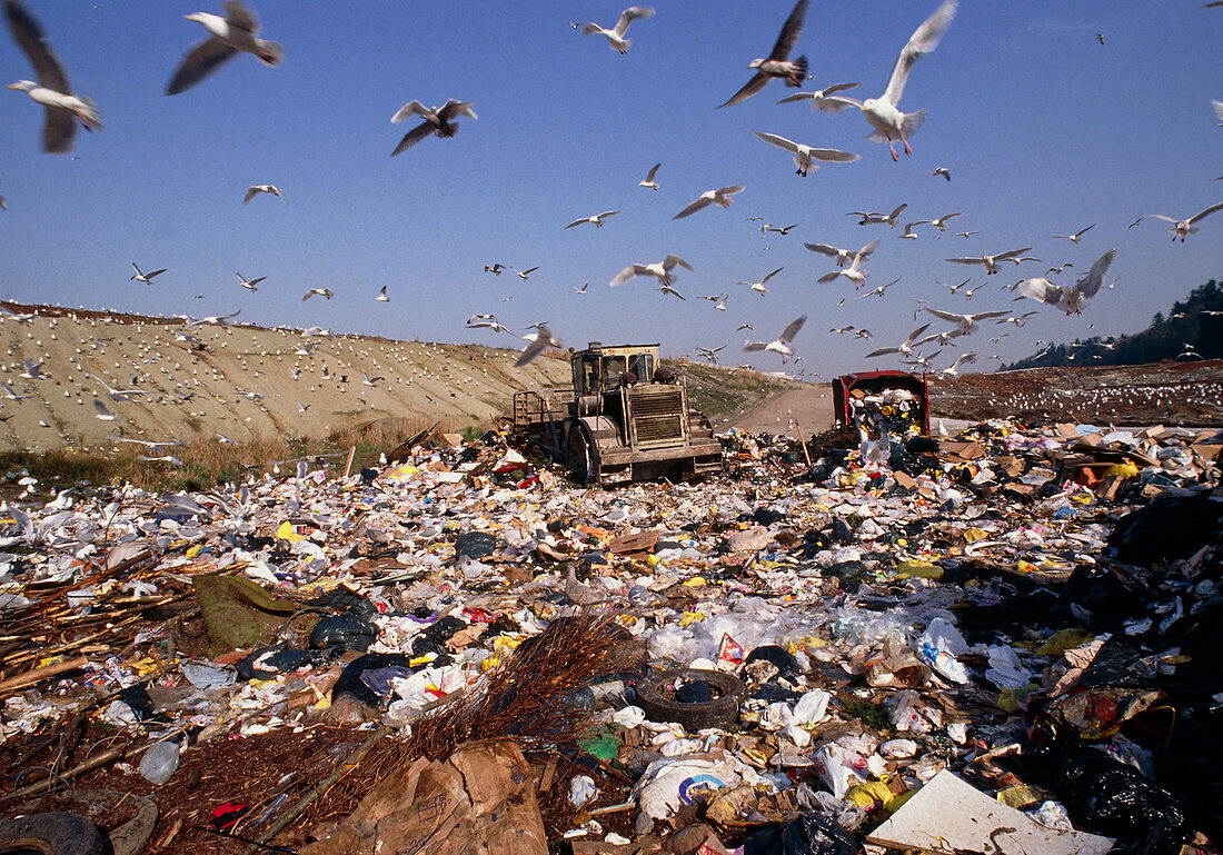 View of a waste landfill site